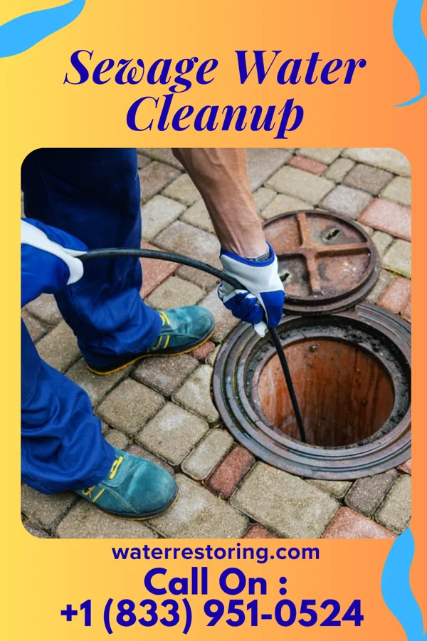 Sewage Water Cleanup in Rule, TX