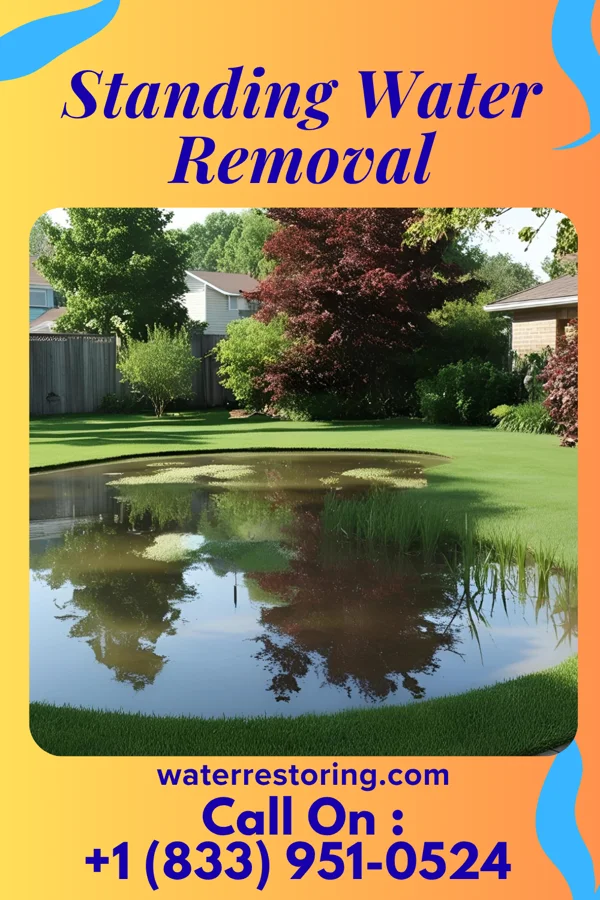 Standing Water Removal in Rule, TX